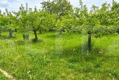 Teren de 600 mp, în Calea Moldovei