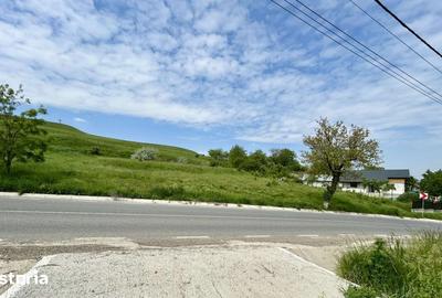 Teren de 834 mp, în Dumești - 2