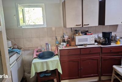 Casă cu 4 camere cu Teren 2800 Mp în Șagu