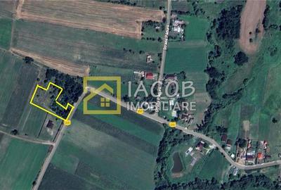 Teren Construcții intravilan de 3350 mp, în Petricica - 2