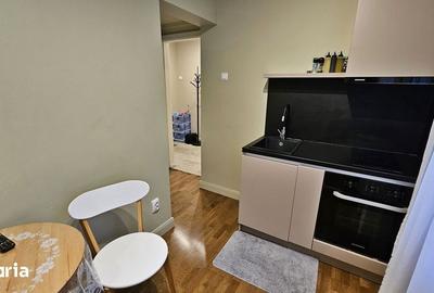 Apartament cu 4 camere, mobilat în Gruia - 15