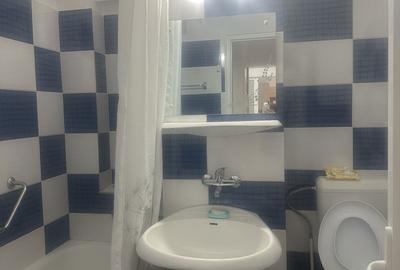 Apartament cu 3 camere decomandat în Ultracentral - 12