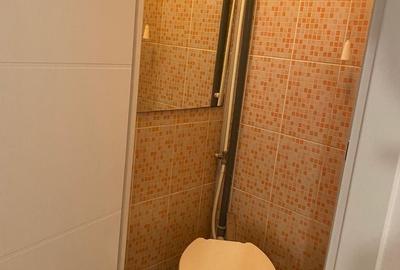 Apartament cu 3 camere decomandat în Valea Aurie - 8