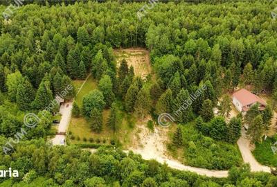 Teren de 3000 mp, în Porumbacu de Jos - 2