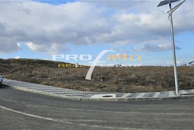 Teren Construcții intravilan de 965 mp, în Sud-Est - 2