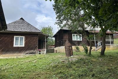 Casă cu 2 camere în Strâmbu-Băiuț - 1