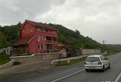 Teren de 46000 mp, în Radna - 3