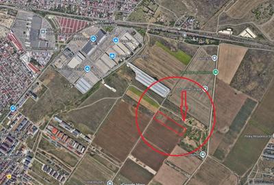 Teren Construcții intravilan de 25000 mp, în Dobroești - 1