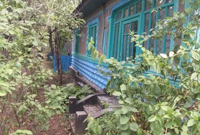 Casă cu 4 camere cu Teren 5000 Mp în Drăgănești - 10