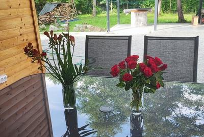 Casă în Avrig - 5