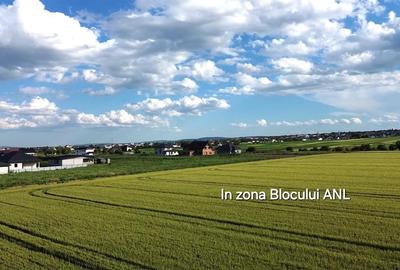 Teren Construcții intravilan de 2000 mp, în Dumbrăveni - 5