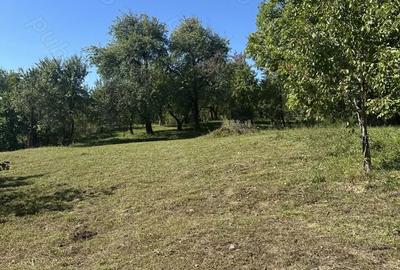 Casă cu 5 camere cu Teren 1939 Mp în Talea - 10
