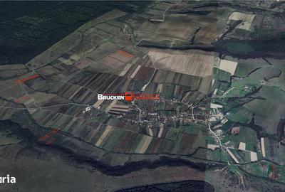 Teren de 23400 mp, în Husasău de Tinca - 7
