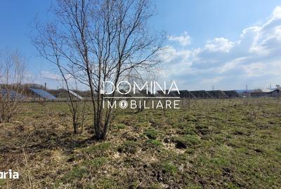Teren de 978 mp, în Drăguțești