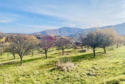Teren intravilan de 1000 mp, în Sibiel