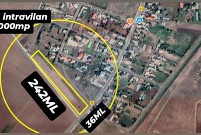 Teren Construcții intravilan de 8000 mp, în Castelu - 1