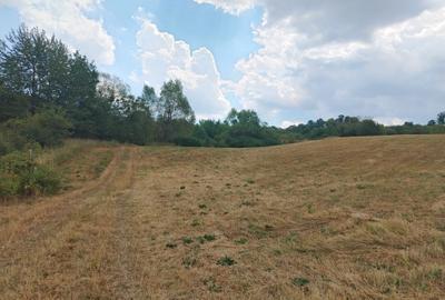Teren extravilan de 1226 mp, în Periferie - 5