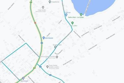 Teren de 3800 mp, în Lilieci