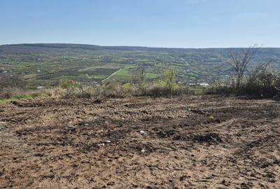 Teren de 3000 mp, în Tomești - 1