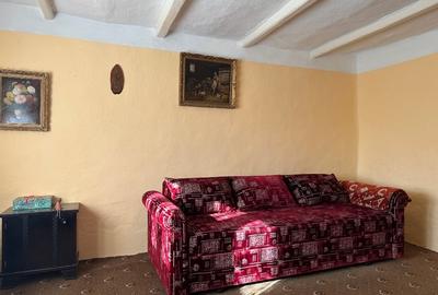 Casă individuală cu 2 camere cu Teren 4610 Mp în Ultracentral - 4