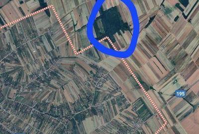 Teren de 7223 mp, în Viile Satu Mare