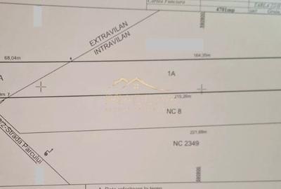 Teren Construcții intravilan de 4701 mp, în Gruiu - 4