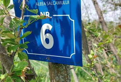 Teren în Galicea - 5