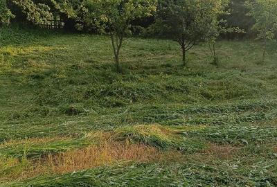 Casă cu 2 camere în Ion Creangă - 2
