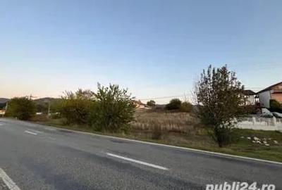 Teren de 1000 mp, în Hinova - 6