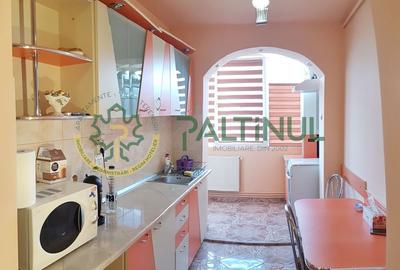 Apartament cu 2 camere semidecomandat, mobilat în Mihai Viteazul - 7