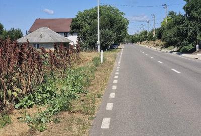 Teren de 4500 mp, în Codăești