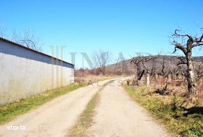 Teren de 1023 mp, în Aninoasa - 6