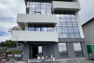 Spațiu comercial, de 160 mp, în Valea Lupului