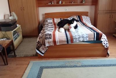 Casă cu 2 camere cu Teren 187 Mp în Central - 7
