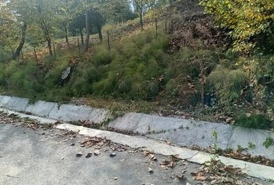 Teren de 2730 mp, în Central - 5