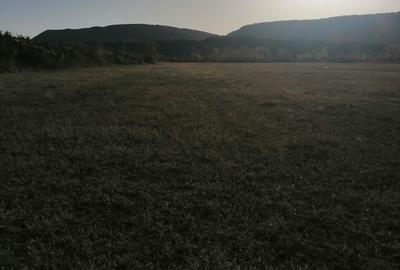 Teren de 3200 mp, în Bănești - 10