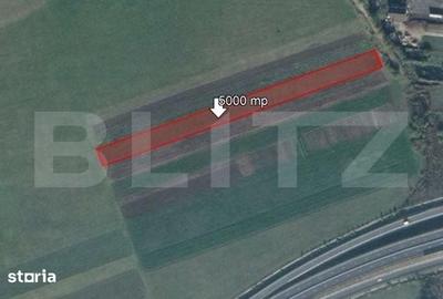 Teren de 5000 mp, în Stupini