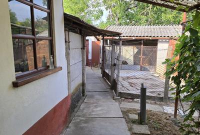 Casă cu 2 camere în Boiu - 8