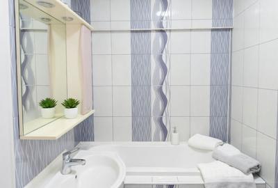 Apartament cu 3 camere decomandat, mobilat în Trocadero - 8