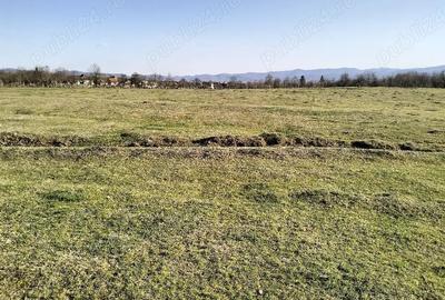 Teren de 10600 mp, în Crocna - 6
