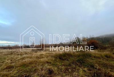 Teren agricol extravilan de 6500 mp, în Cârțișoara - 4