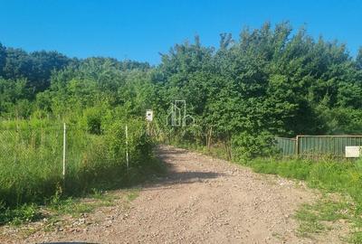 Teren extravilan de 90000 mp, în Corunca - 3