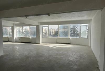 Spațiu comercial, de 250 mp, în Găvana