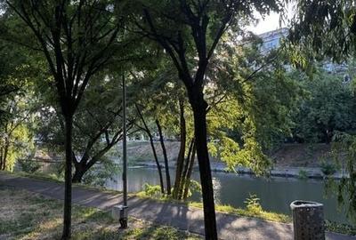 Apartament cu 2 camere în Iosefin - 5