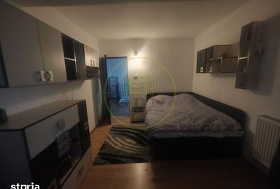 Casă cu 4 camere cu Teren 397 Mp în George Enescu - 8
