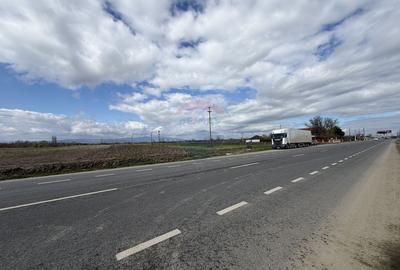 Teren agricol intravilan de 9431 mp, în Bizighești - 6