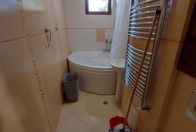 Garsonieră decomandată în Timișoara - 4