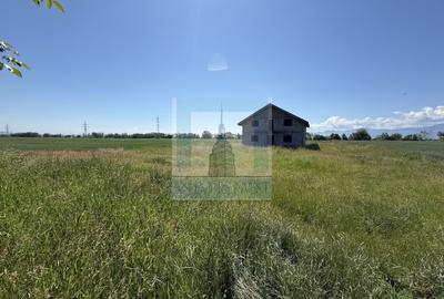 Teren Construcții intravilan de 50000 mp, în Hălchiu - 4