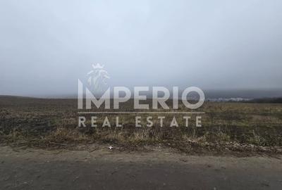 Teren Construcții intravilan de 5800 mp, în Chinteni - 1