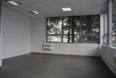 Birou, de 330 mp, în Blașcovici - 2